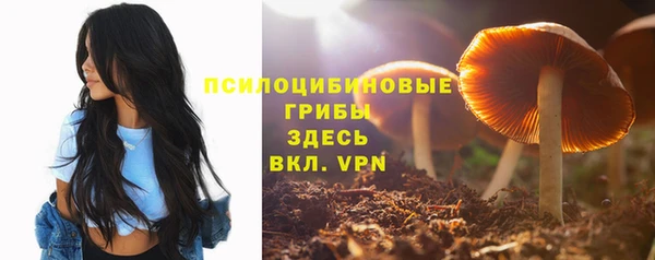 эйфоретик Нефтегорск