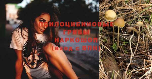 дмт Нея
