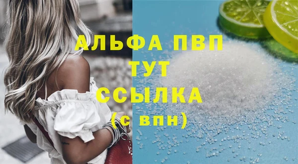 соль ск Новодвинск