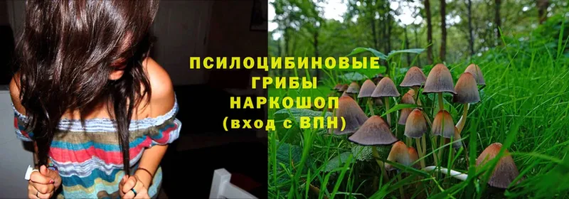 Псилоцибиновые грибы MAGIC MUSHROOMS  Электроугли 