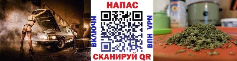 Бошки марихуана сатива  как найти закладки  Электроугли 
